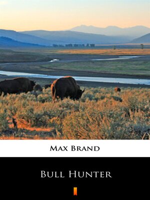 cover image of Bull Hunter